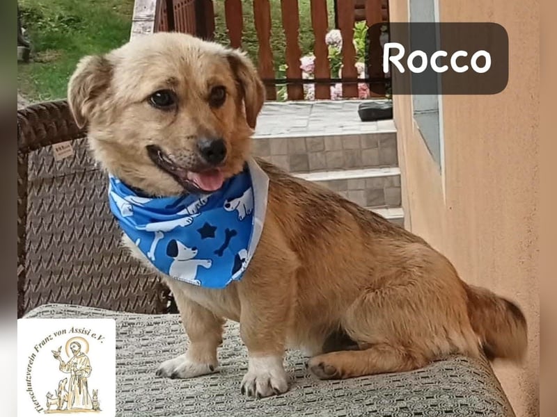 Rocco – Das Leben wartet nicht. Es will entdeckt werden!