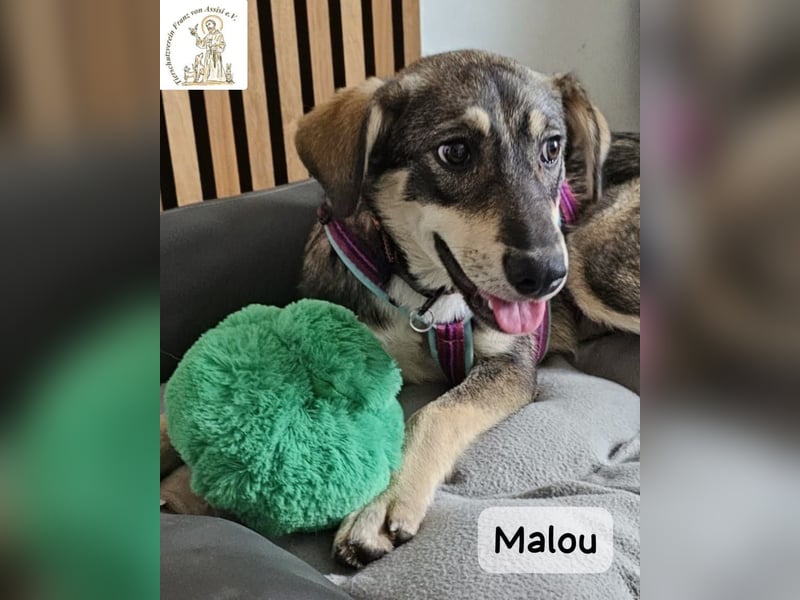 Malou – groß werden kann jeder. Großartig werden wir gemeinsam!