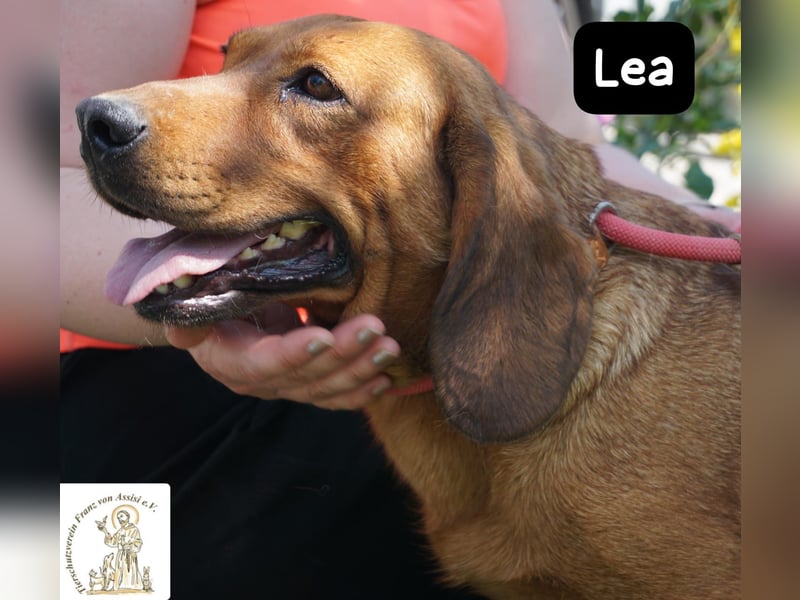 Lea – Bringt keine wilden Abenteuer mit, sondern ein Stück Geborgenheit!