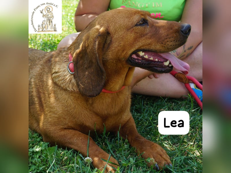 Lea – Bringt keine wilden Abenteuer mit, sondern ein Stück Geborgenheit!