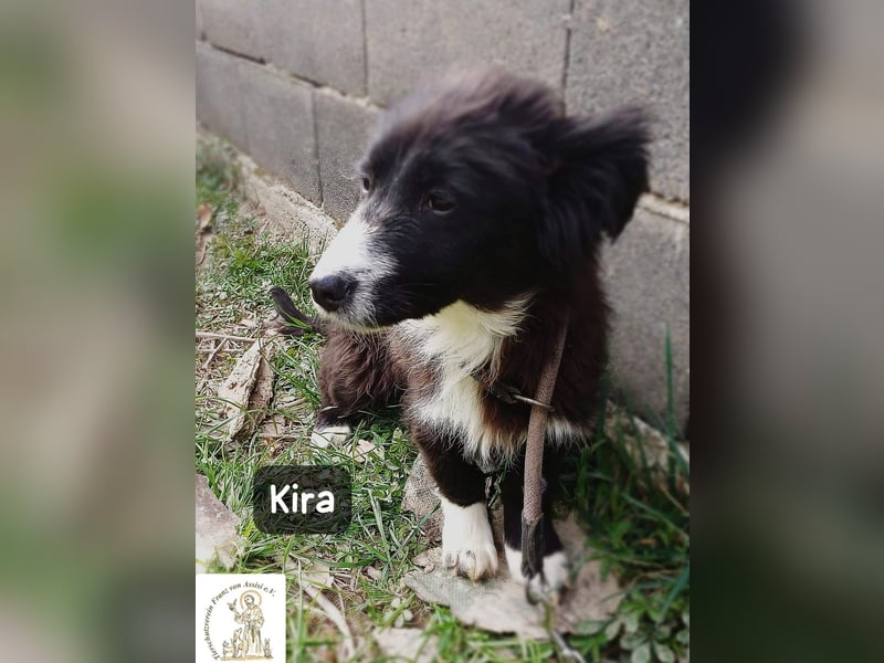 Kira – wenn Leben gerade erst richtig losgeht!