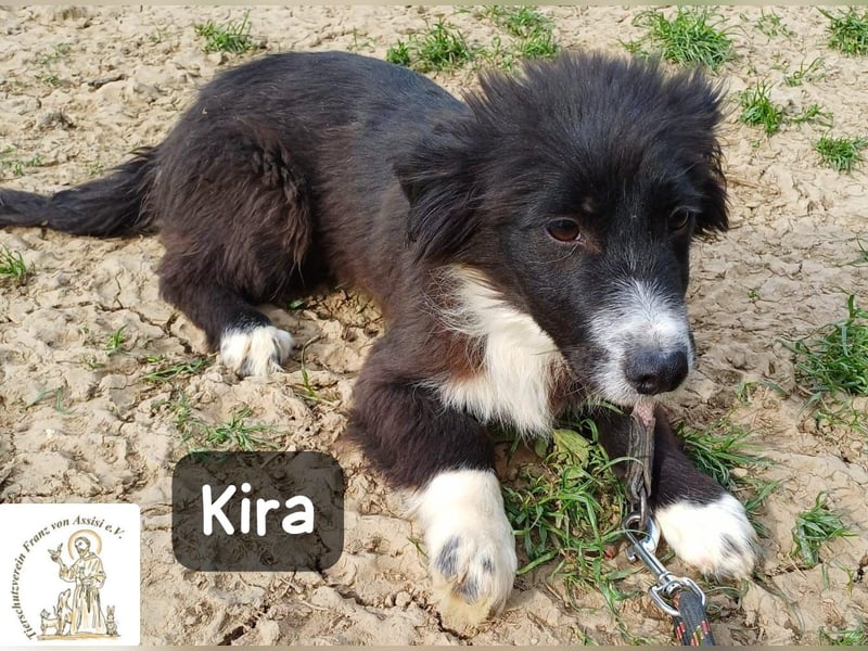 Kira – wenn Leben gerade erst richtig losgeht!