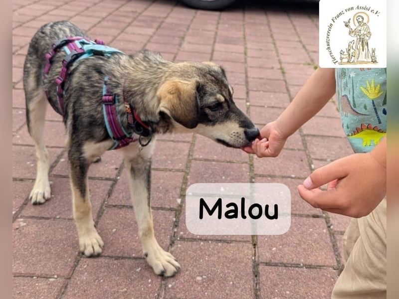 Malou – groß werden kann jeder. Großartig werden wir gemeinsam!