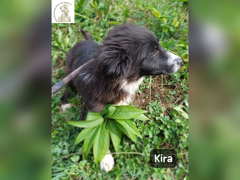 Kira – wenn Leben gerade erst richtig losgeht!