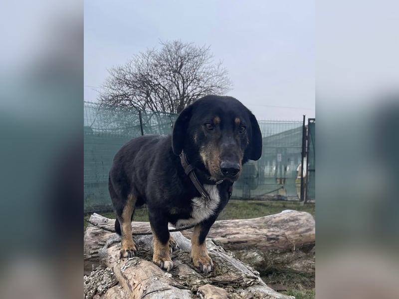 Verschmuster Fred sucht seine Familie