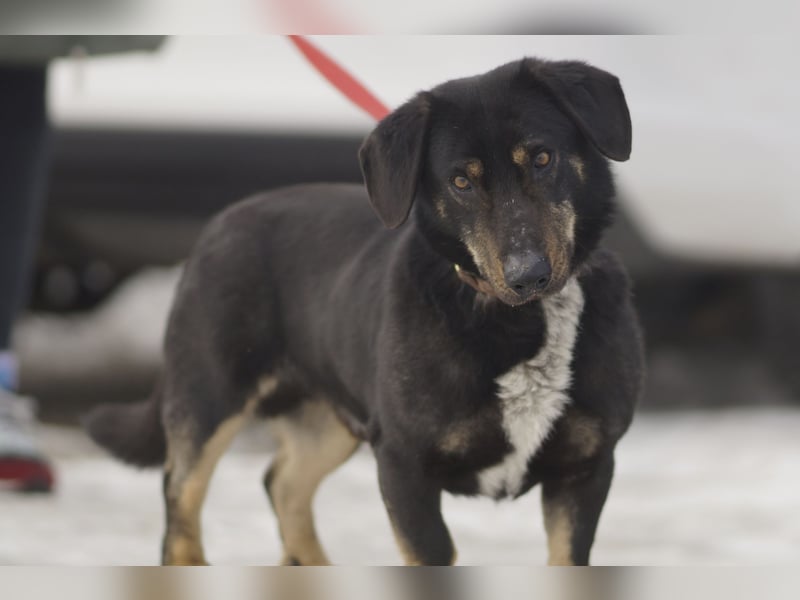 Verschmuster Fred sucht seine Familie