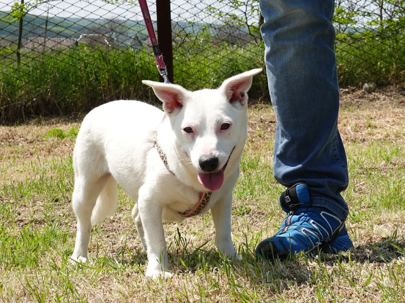 Kleine Claire wünscht sich ein liebevolles Zuhause