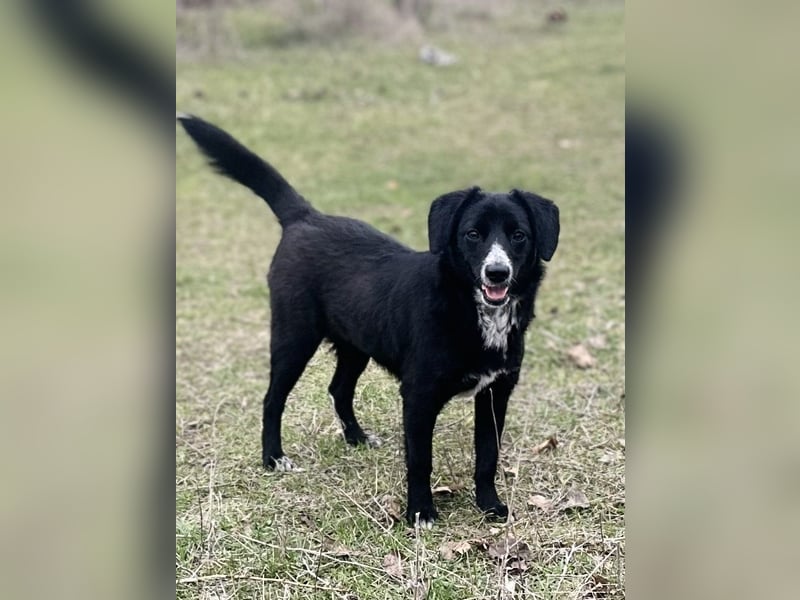 Liebe Lani sucht ihre Familie