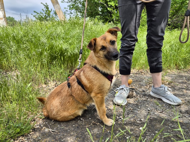 Süße Candy sucht ein Zuhause