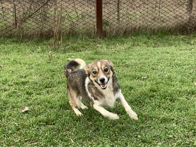 Süße Feli sucht liebe Menschen