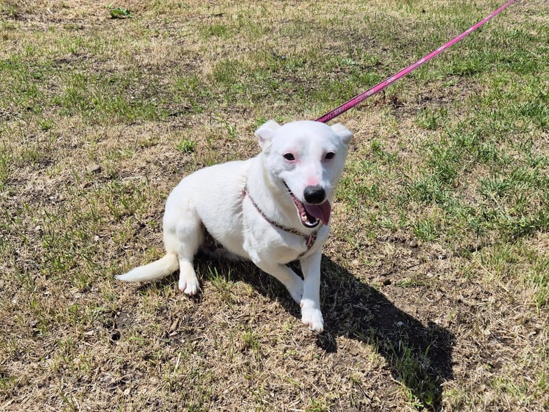 Kleine Claire wünscht sich ein liebevolles Zuhause