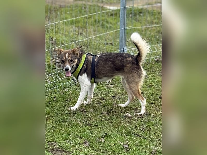 Süße Feli sucht liebe Menschen