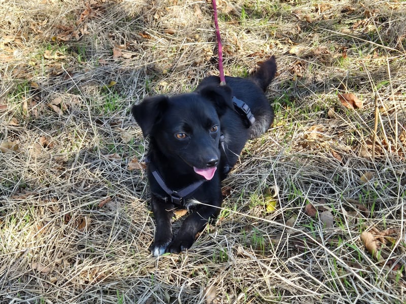 Kleine Nisha sucht ihre Menschen