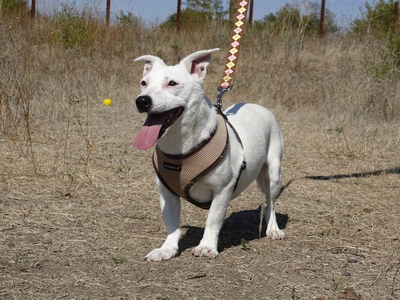 Kleine Claire wünscht sich ein liebevolles Zuhause
