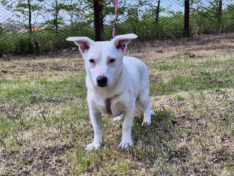 Kleine Claire wünscht sich ein liebevolles Zuhause