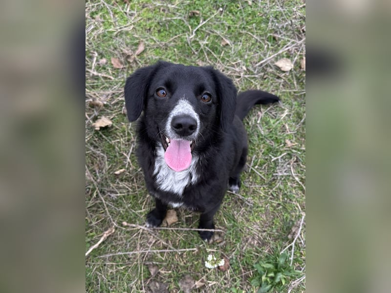 Liebe Lani sucht ihre Familie