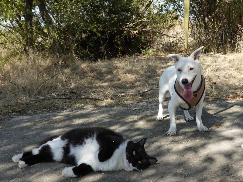 Kleine Claire wünscht sich ein liebevolles Zuhause