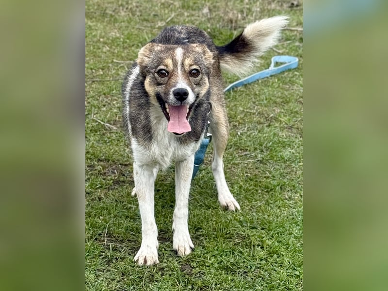 Süße Feli sucht liebe Menschen