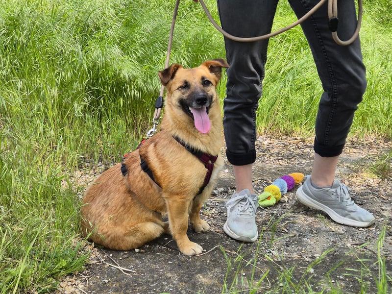 Süße Candy sucht ein Zuhause