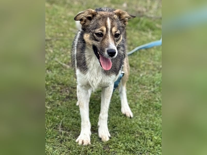 Süße Feli sucht liebe Menschen