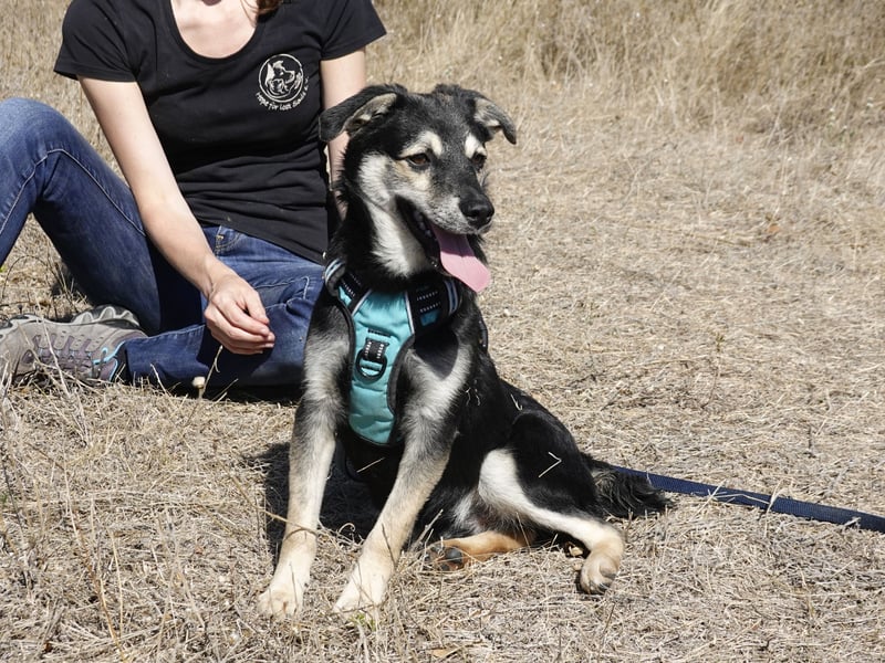Kleiner Vince sucht neuen Wirkungskreis