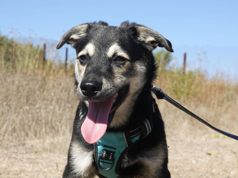 Kleiner Vince sucht neuen Wirkungskreis