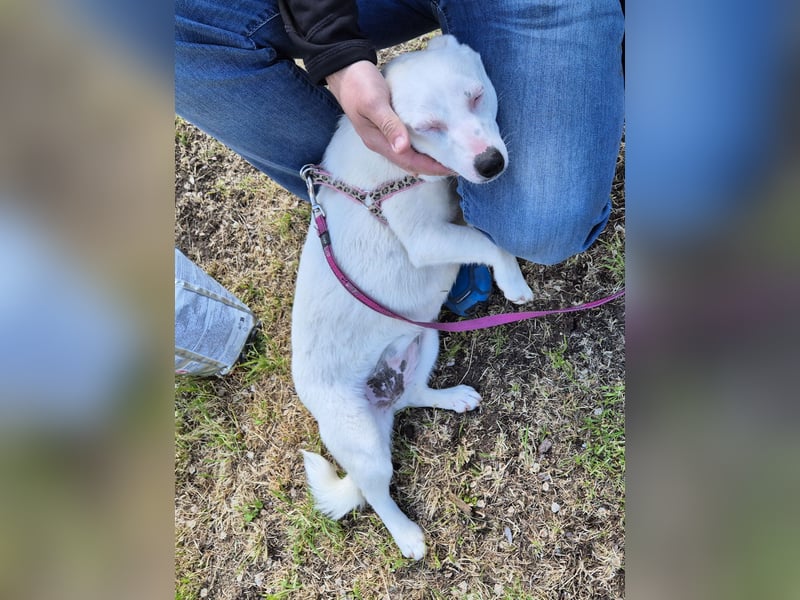 Kleine Claire wünscht sich ein liebevolles Zuhause