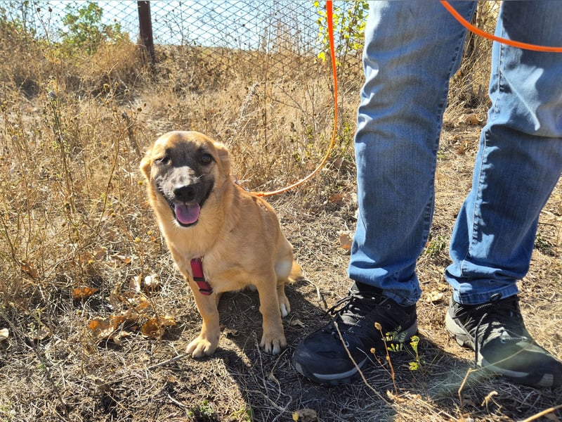 Süße Candy sucht ein Zuhause