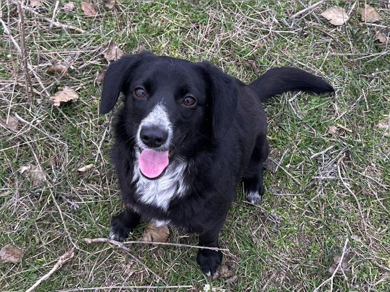 Liebe Lani sucht ihre Familie