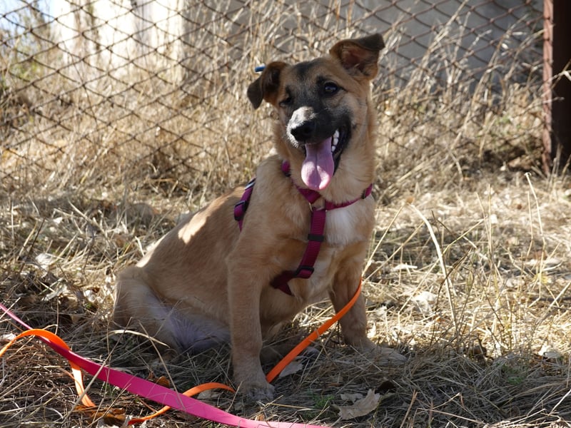 Süße Candy sucht ein Zuhause