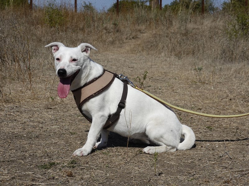 Kleine Claire wünscht sich ein liebevolles Zuhause