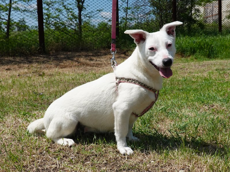 Kleine Claire wünscht sich ein liebevolles Zuhause