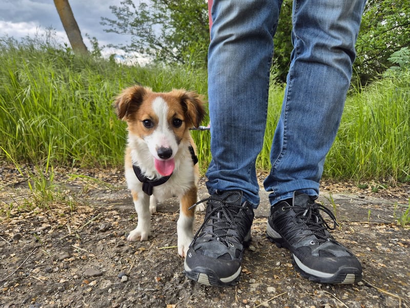 Süße Joy sucht ihre Herzensmenschen