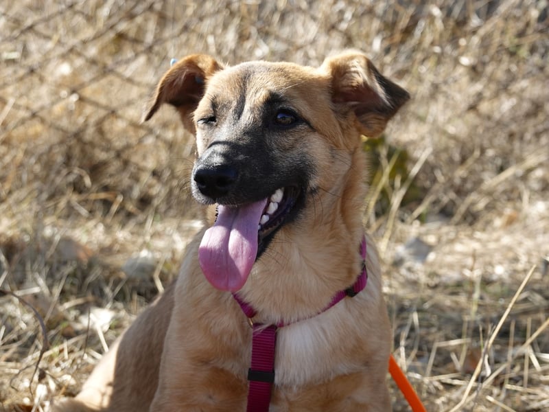 Süße Candy sucht ein Zuhause