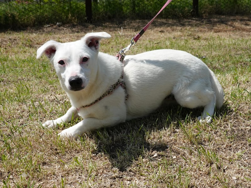Kleine Claire wünscht sich ein liebevolles Zuhause