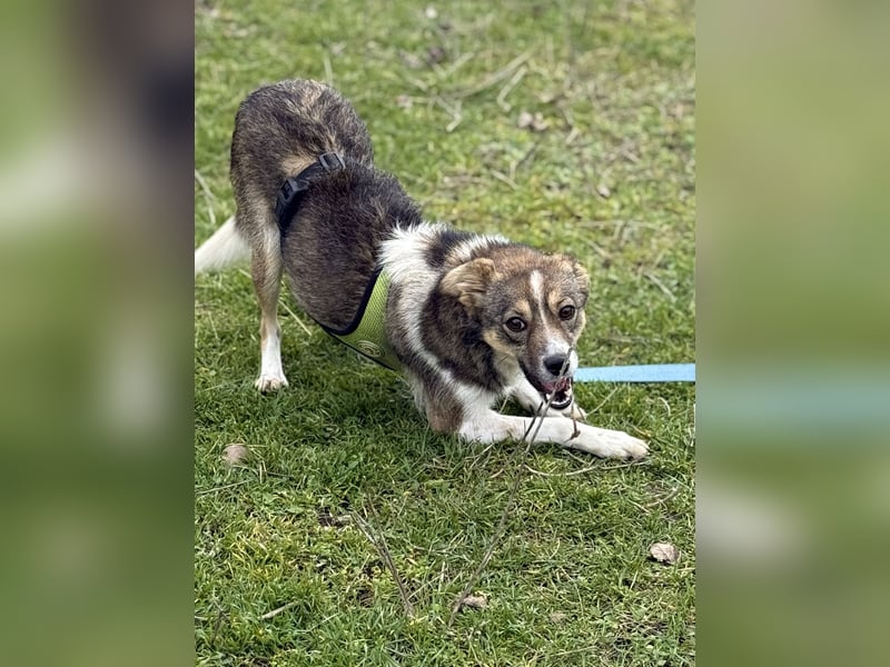 Süße Feli sucht liebe Menschen