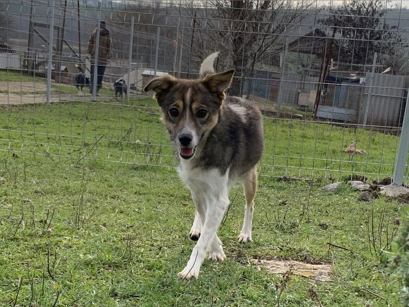 Süße Feli sucht liebe Menschen