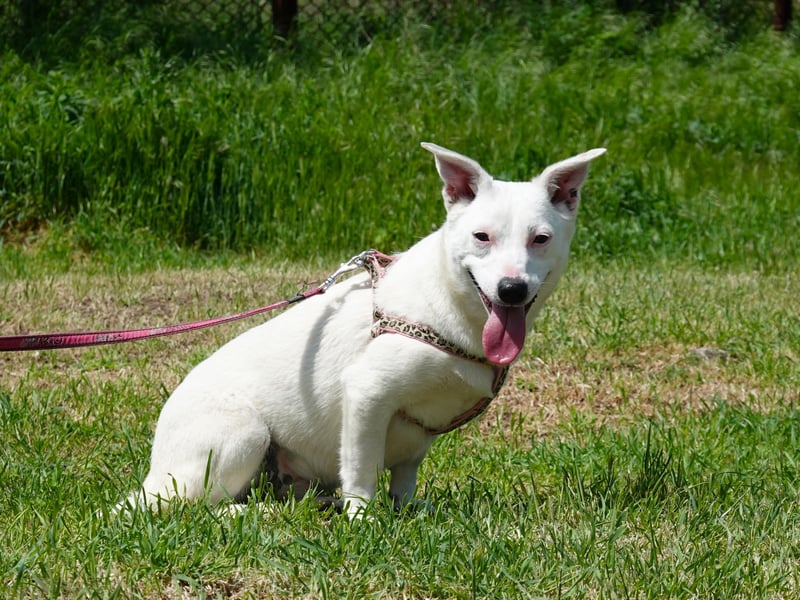 Kleine Claire wünscht sich ein liebevolles Zuhause