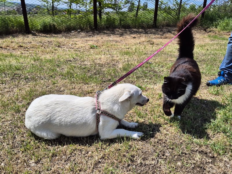 Kleine Claire wünscht sich ein liebevolles Zuhause