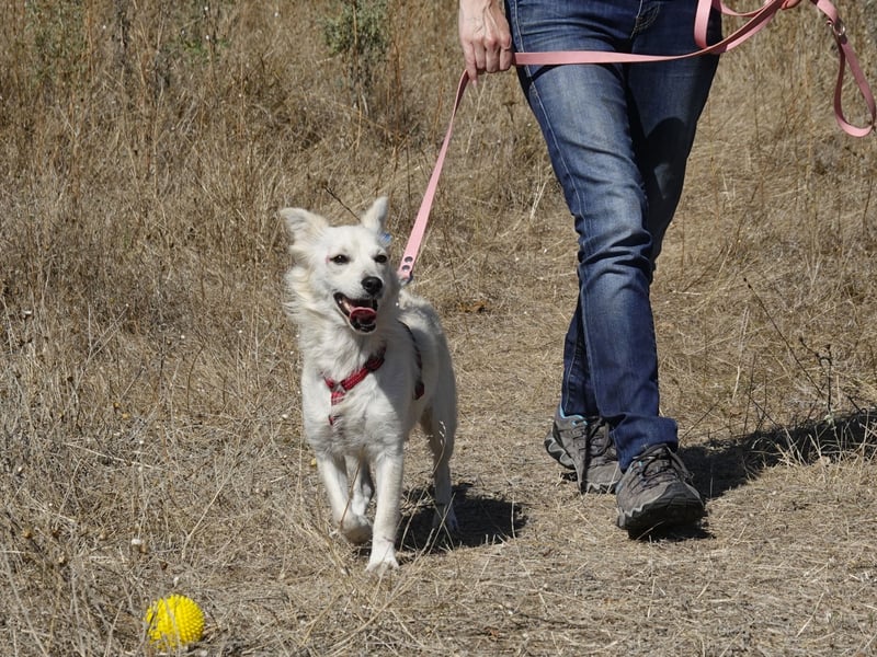 Süße Yuki sucht ihre Menschen