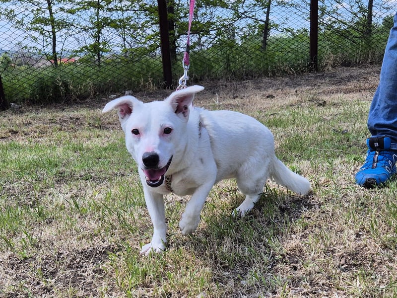 Kleine Claire wünscht sich ein liebevolles Zuhause