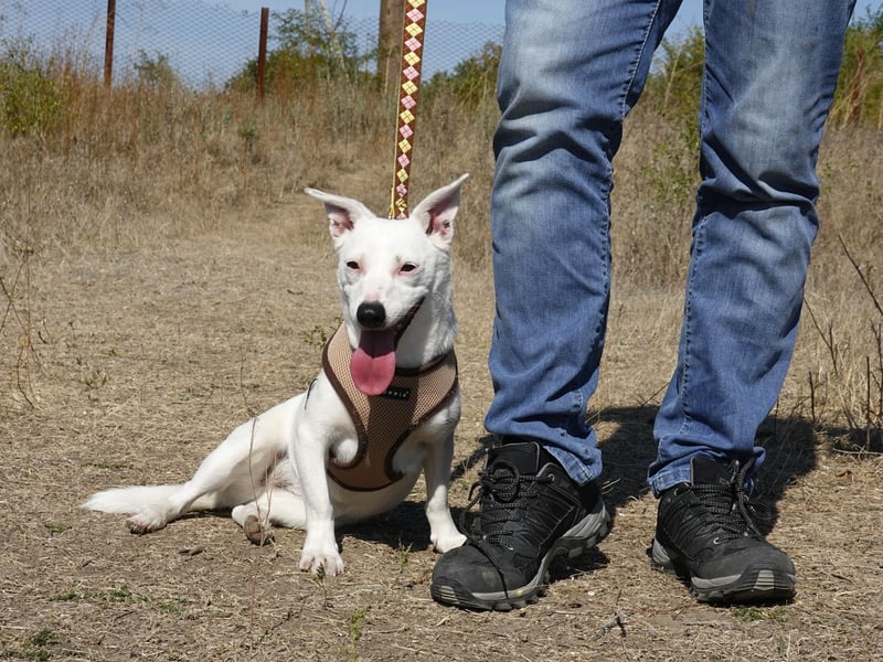 Kleine Claire wünscht sich ein liebevolles Zuhause