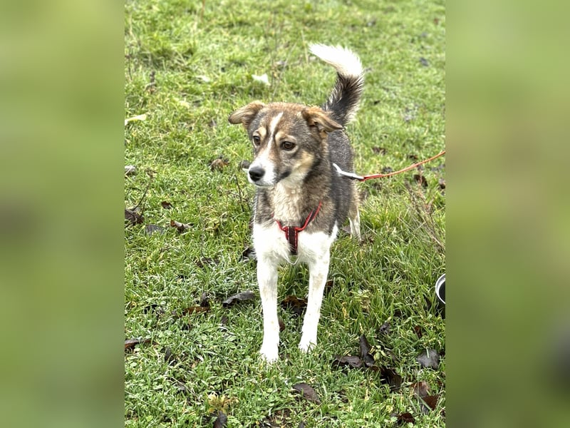 Süße Feli sucht liebe Menschen