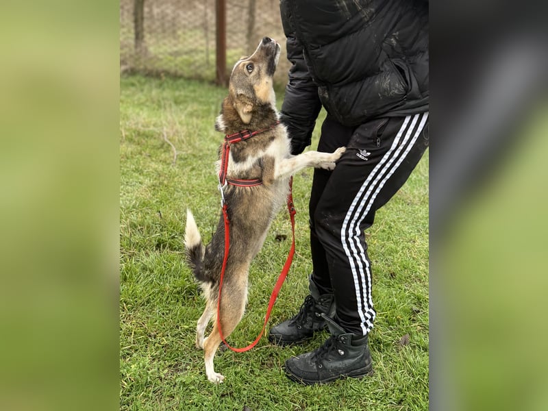 Süße Feli sucht liebe Menschen