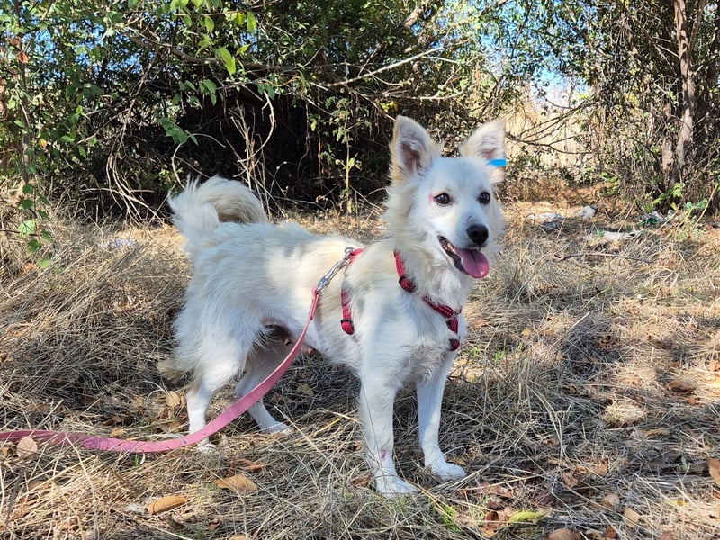 Süße Yuki sucht ihre Menschen