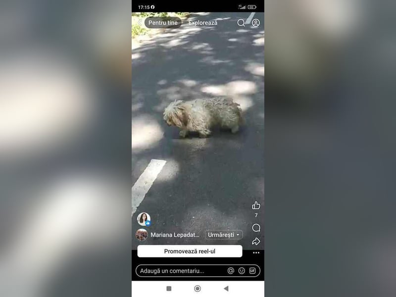 Josef sucht seine Menschen