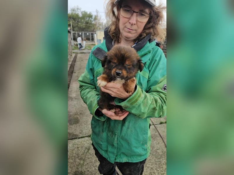 Kosmas sucht Kuschelplatz