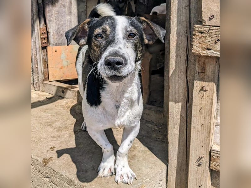 Wo bleibt Nino's Glück?