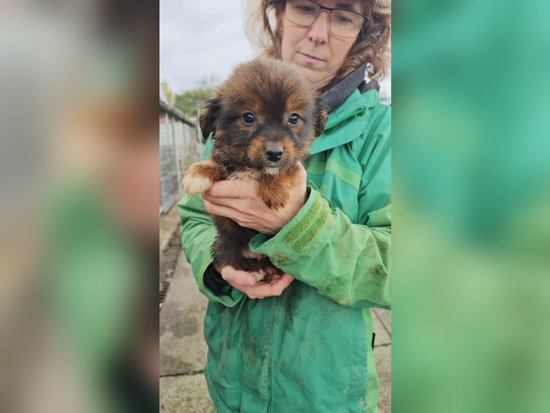 Kosmas sucht Kuschelplatz