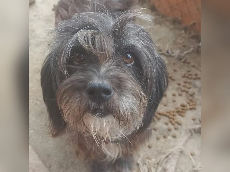 Layla möchte geliebt werden